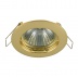 Точечный светильник Maytoni Metal DL009-2-01-G