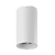 Потолочный светодиодный светильник SWG VILLY 004843