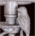 Люстра с элементами керамики Maytoni Bird ARM013-05-W