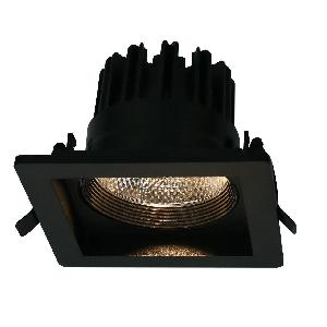 Точечный светильник Arte Lamp Privato A7018PL-1BK