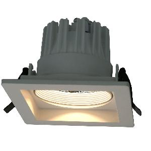 Точечный светильник Arte Lamp Privato A7018PL-1WH