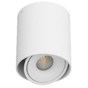 Накладной светодиодный светильник LeDron ORBIN TUB White