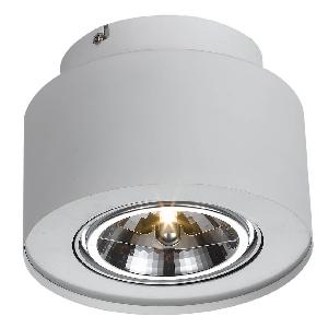 Потолочный светильник Arte Lamp Cliff A5643PL-1WH