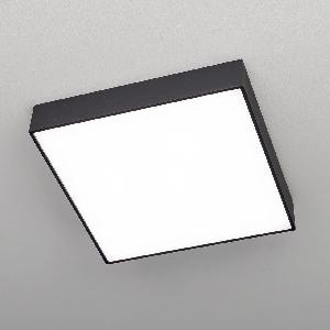 Потолочный светодиодный светильник Citilux Тао CL712K242