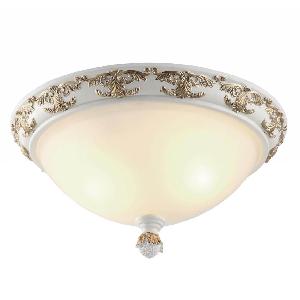 Потолочный светильник Arte Lamp Benessere A9570PL-2WG