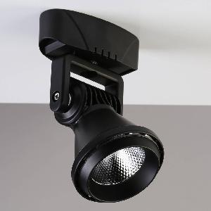 Накладной светодиодный светильник Favourite Projector Black 1766-1U