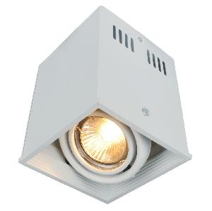 Накладной светильник Arte Lamp Cardani A5942PL-1WH