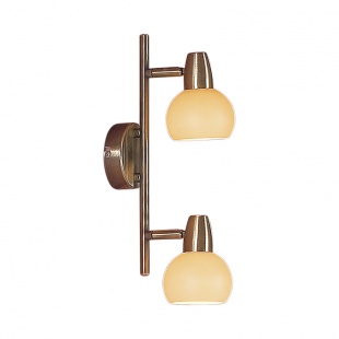 Споты двойные потолочные Citilux Бонго CL516523