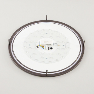 Потолочный светодиодный светильник Citilux Бостон CL709505N