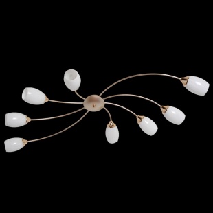Потолочная люстра MW-Light Олимпия 638016508
