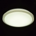 Потолочный светодиодный светильник MW-LIGHT Ривз 674012601