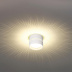 Потолочный светильник Odeon Light Real 6609/1C Потолочный светильник Odeon Light Real 6609/1C