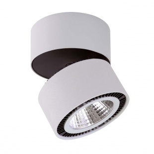 Накладной светильник Lightstar Forte Muro 214839