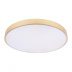 Потолочный светодиодный светильник Loft IT Flims 10228/B