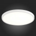 Потолочный светодиодный светильник ST Luce ST601.532.32