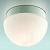Влагозащищенный потолочный светильник для ванной Odeon Light Minkar 2443/1B