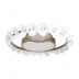 Потолочный светодиодный светильник Loft IT Bride 10174