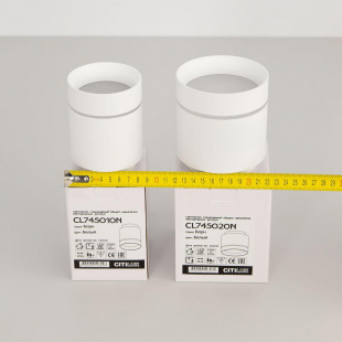 Потолочный светодиодный светильник Citilux Борн CL745010N