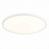 Потолочный светодиодный светильник ST Luce ST601.532.48