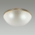 Потолочный светильник Odeon Light Malaga 4936/3C Потолочный светильник Odeon Light Malaga 4936/3C