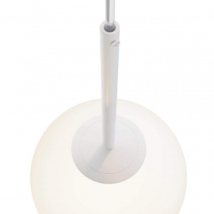 Подвесной светильник Maytoni Basic form MOD321PL-01W1