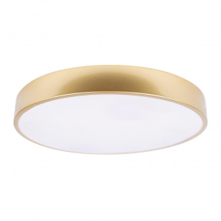 Потолочный светодиодный светильник Loft IT Flims 10228/A
