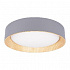 Потолочный светодиодный светильник Loft IT Coin 10202 Grey