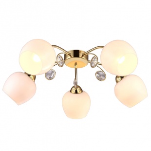 Люстра потолочнаяе Arte Lamp Millo A9549PL-5GO