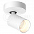 Накладной светодиодный светильник LeDron SAGITONY R1 S60 White