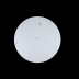 Потолочный светодиодный светильник Loft IT Axel 10002/48 white