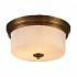 Потолочный светильник Arte Lamp A1735PL-3SR