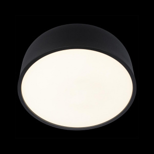 Потолочный светодиодный светильник Loft IT Axel 10201/350 Black