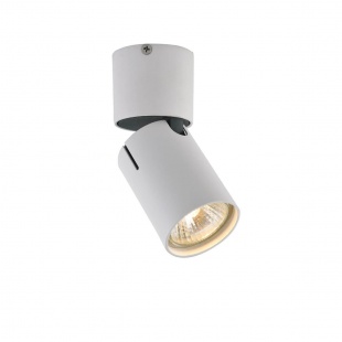 Потолочный светильник Vele Luce Carrisi VL8061S21