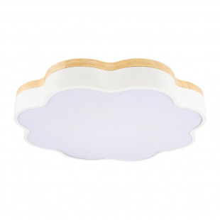 Потолочный светодиодный светильник Loft IT Axel 10225/36 White