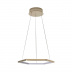 Подвесной светодиодный светильник Loft IT Ring 10016S