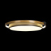 Потолочный светодиодный светильник Loft IT Mike 10170