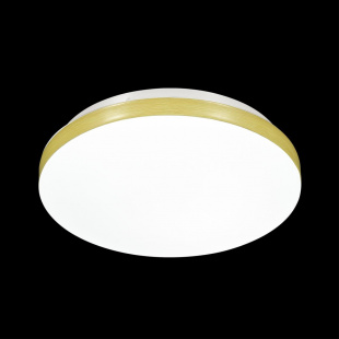 Настенно-потолочный светодиодный светильник Sonex Smalli 3066/CL