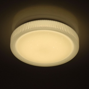 Потолочный светодиодный светильник с пультом ДУ MW-Light Ривз 4 674013901