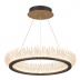 Подвесная светодиодная люстра Odeon Light Fire Ring 3863/61L
