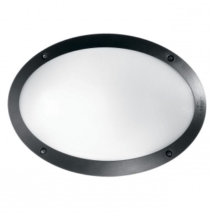 Светильник уличный настенный Ideal Lux Maddi-1 AP1 Nero