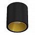 Накладной светодиодный светильник LeDron RINBOK Black/Gold
