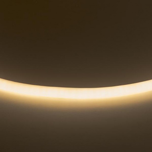 Гибкий неон Lightstar 9,6W/m 120LED/m теплый белый 50M LS720 430202