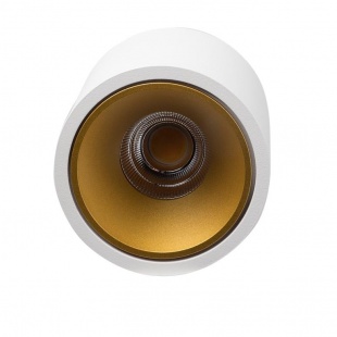 Накладной светодиодный светильник LeDron RINBOK White/Gold