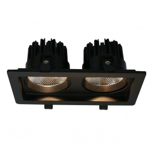 Встраиваемый светильник Arte Lamp Privato A7007PL-2BK