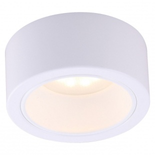 Накладной светильник Arte Lamp Effetto A5553PL-1WH