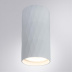 Потолочный светильник Arte Lamp Fang A5557PL-1WH