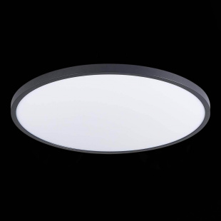 Потолочный светодиодный светильник ST Luce ST601.442.48
