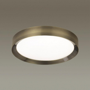 Потолочный светодиодный светильник Odeon Light Lunor 4948/45CL