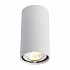 Потолочный светильник Arte Lamp A1516PL-1WH