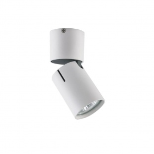 Потолочный светильник Vele Luce Carrisi VL8061S21